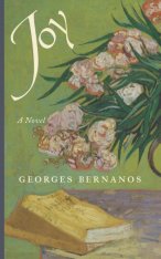 Joy: A Novel