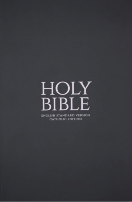 Gray Paperback Bible (ESV-CE)