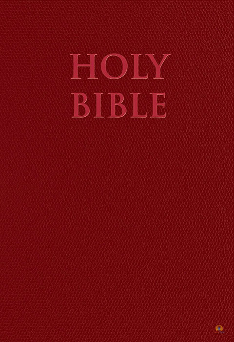 NABRE - New American Bible Revised Edition (Red Premium UltraSoft)