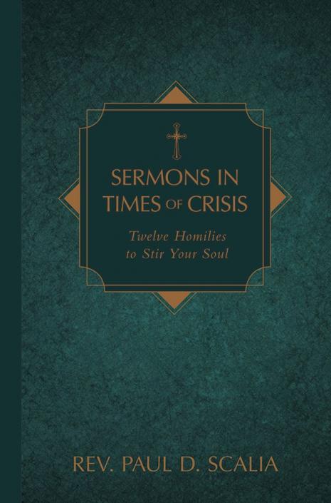 Sermons in Times of Crisis: Twelve Homilies to Stir Your Soul