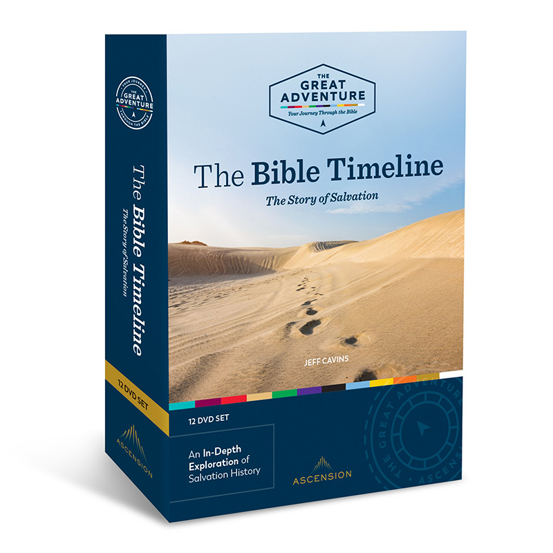 The Bible Timeline: The Story of Salvation DVD Set by Jeff Cavins