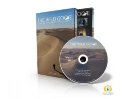 The Wild Goose