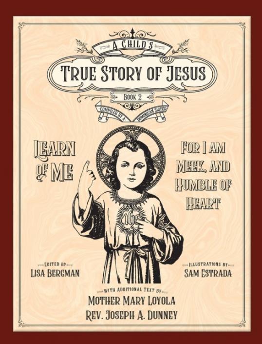 A Child's True Story of Jesus Book 2