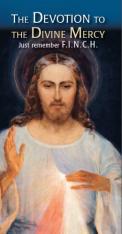 Devotion to Divine Mercy Pamphlet (100 pack)