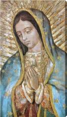 Close-Up Guadalupe 10" x 18" Canvas Print
