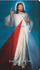 Blue Hyla Divine Mercy 10" x 18" Canvas Print