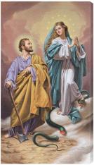 The Immaculata and the Terror of Demons 10 x 18" Canvas Print