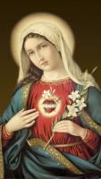 Prayer Cards and Pamphlets