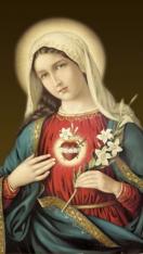 Memorare Prayer Card - 1000 Pack