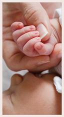 Prayer to End Abortion Prayer Card - 1000 Pack